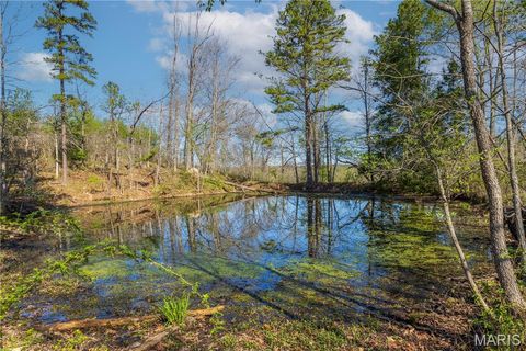 Tiny photo for 0 County Road 584, Piedmont, MO 63957 (MLS # 26021183)