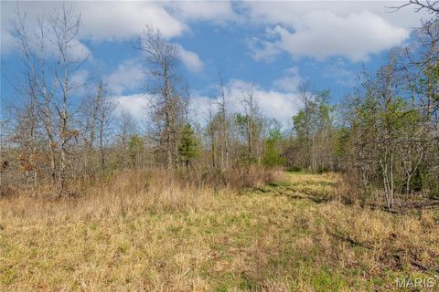 Tiny photo for 0 County Road 584, Piedmont, MO 63957 (MLS # 26021183)