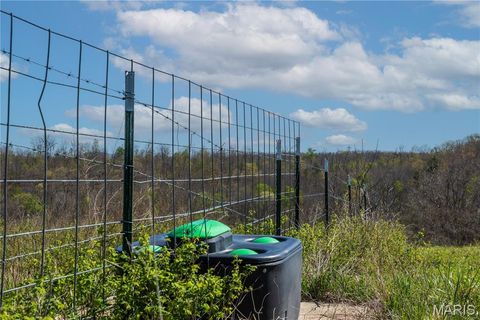 Tiny photo for 0 County Road 584, Piedmont, MO 63957 (MLS # 26021183)
