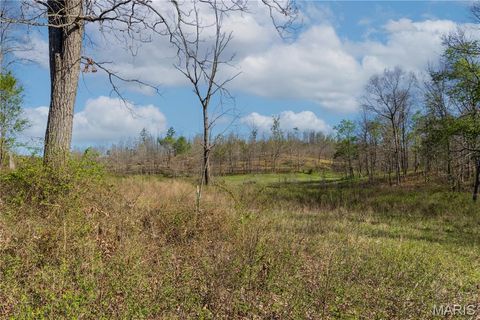 Tiny photo for 0 County Road 584, Piedmont, MO 63957 (MLS # 26021183)