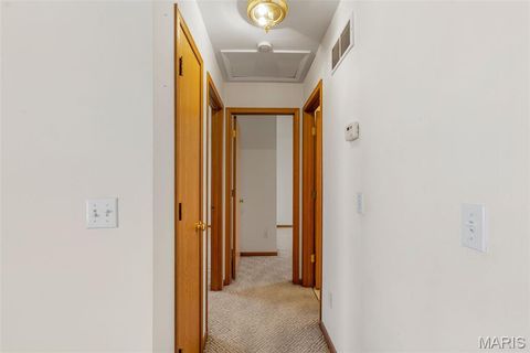Tiny photo for 51 Saxony Drive, Troy, MO 63379 (MLS # 25068462)