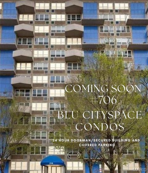 Photo of 210 N 17th Street #706, St Louis, MO 63103 (MLS # 26017200)