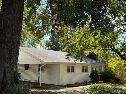 Tiny photo for 522 Holland Avenue, Webster Groves, MO 63119 (MLS # 25068843)
