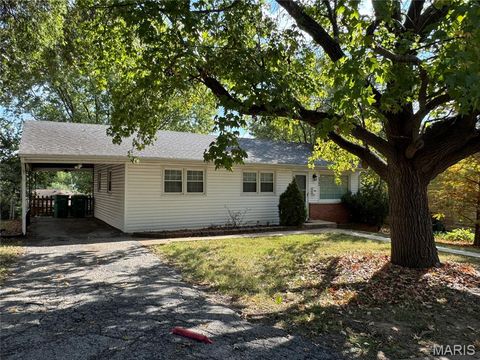 Tiny photo for 522 Holland Avenue, Webster Groves, MO 63119 (MLS # 25068843)