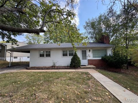 Tiny photo for 522 Holland Avenue, Webster Groves, MO 63119 (MLS # 25068843)