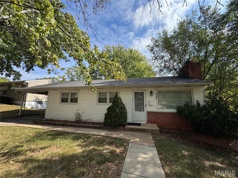 Tiny photo for 522 Holland Avenue, Webster Groves, MO 63119 (MLS # 25068843)