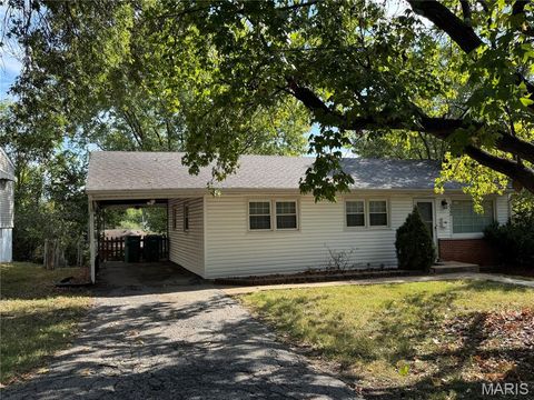 Tiny photo for 522 Holland Avenue, Webster Groves, MO 63119 (MLS # 25068843)