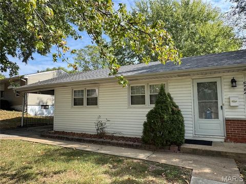 Photo of 522 Holland Avenue, Webster Groves, MO 63119 (MLS # 25068843)