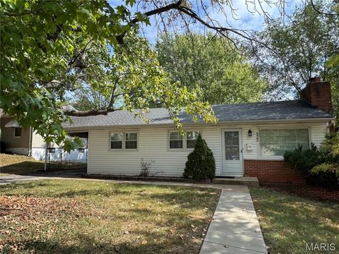 Tiny photo for 522 Holland Avenue, Webster Groves, MO 63119 (MLS # 25068843)