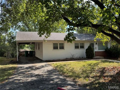 Tiny photo for 522 Holland Avenue, Webster Groves, MO 63119 (MLS # 25068843)