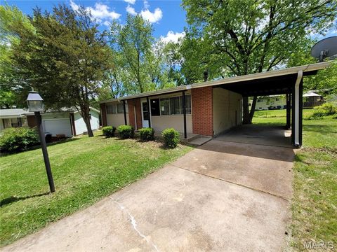 Photo of 10249 Dacey Court, Dellwood, MO 63136 (MLS # 25075204)
