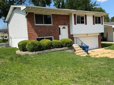 Photo of 17 Saint Lawrence Drive, Ballwin, MO 63021 (MLS # 26034932)