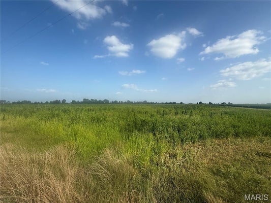 0 COUNTY ROAD 406, HAYTI, MO 63851 - Image d0ead69e2351eaa279d83c0c8d7eaf50/2858299780