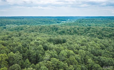 Tiny photo for 0 TBD Hwy 51, Marble Hill, MO 63764 (MLS # 26031365)