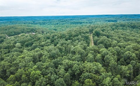 Tiny photo for 0 TBD Hwy 51, Marble Hill, MO 63764 (MLS # 26031365)