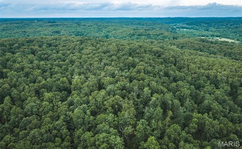 Tiny photo for 0 TBD Hwy 51, Marble Hill, MO 63764 (MLS # 26031365)