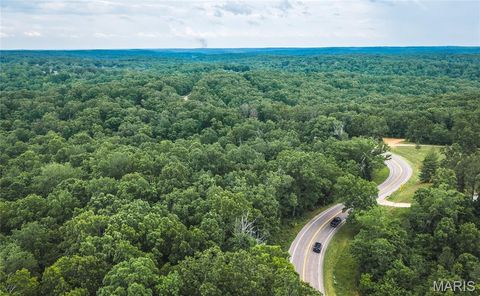 Tiny photo for 0 TBD Hwy 51, Marble Hill, MO 63764 (MLS # 26031365)