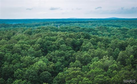 Tiny photo for 0 TBD Hwy 51, Marble Hill, MO 63764 (MLS # 26031365)