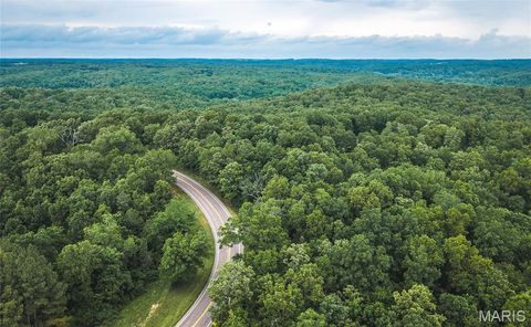 Tiny photo for 0 TBD Hwy 51, Marble Hill, MO 63764 (MLS # 26031365)