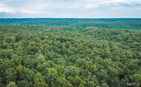 Tiny photo for 0 TBD Hwy 51, Marble Hill, MO 63764 (MLS # 26031365)