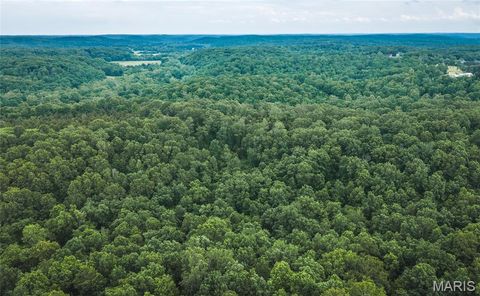 Tiny photo for 0 TBD Hwy 51, Marble Hill, MO 63764 (MLS # 26031365)