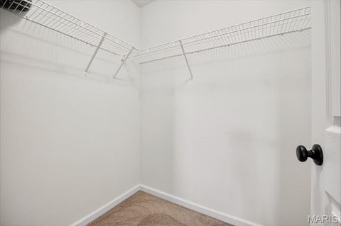 Tiny photo for 17054 Cambury Lane, Wildwood, MO 63040 (MLS # 25057434)