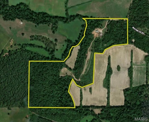Tiny photo for 291 Wayne 511, McGee, MO 63763 (MLS # 26058385)