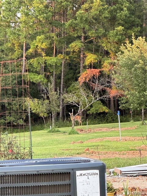 Tiny photo for 291 Wayne 511, McGee, MO 63763 (MLS # 26058385)