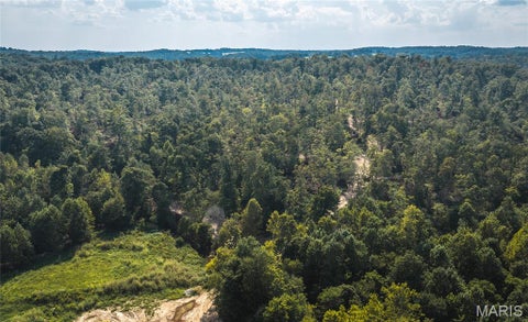 Tiny photo for 291 Wayne 511, McGee, MO 63763 (MLS # 26058385)