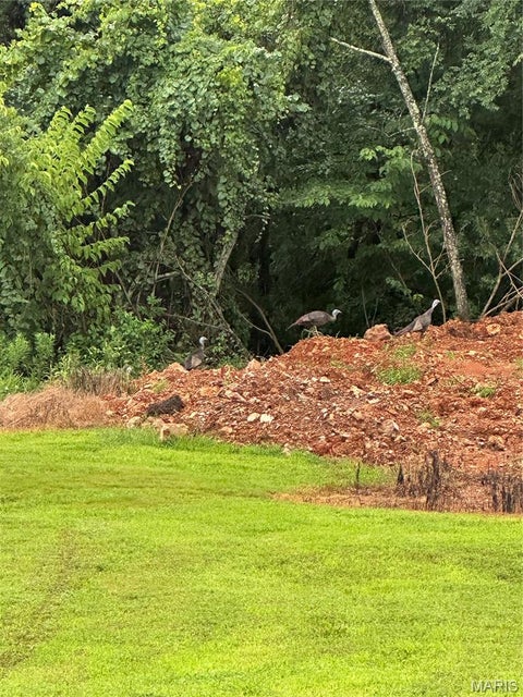 Tiny photo for 291 Wayne 511, McGee, MO 63763 (MLS # 26058385)