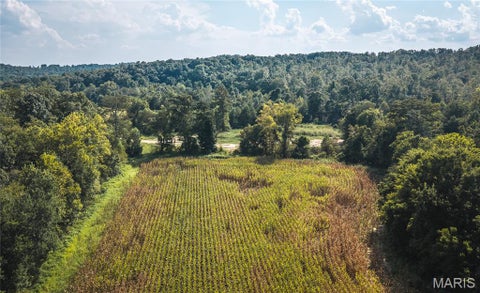 Tiny photo for 291 Wayne 511, McGee, MO 63763 (MLS # 26058385)