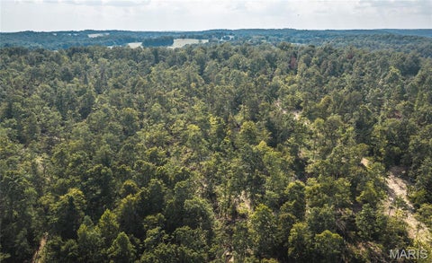 Tiny photo for 291 Wayne 511, McGee, MO 63763 (MLS # 26058385)