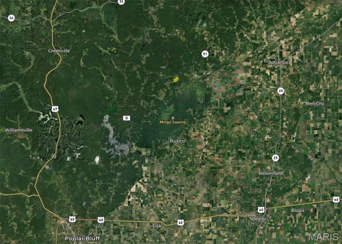 Tiny photo for 291 Wayne 511, McGee, MO 63763 (MLS # 26058385)