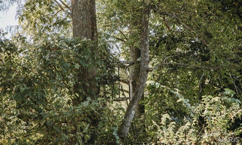 Tiny photo for 291 Wayne 511, McGee, MO 63763 (MLS # 26058385)