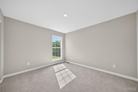 Tiny photo for 335 White Orchid Court, Wentzville, MO 63385 (MLS # 26000442)