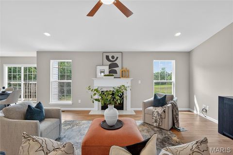 Tiny photo for 335 White Orchid Court, Wentzville, MO 63385 (MLS # 26000442)