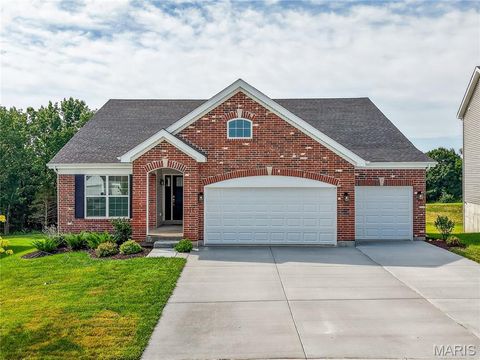 Photo of 335 White Orchid Court, Wentzville, MO 63385 (MLS # 26000442)