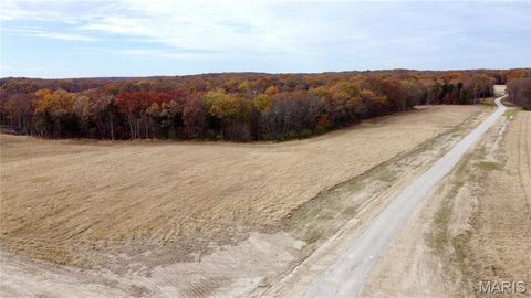Tiny photo for 10 Polston Ln, Marthasville, MO 63357 (MLS # 25077488)
