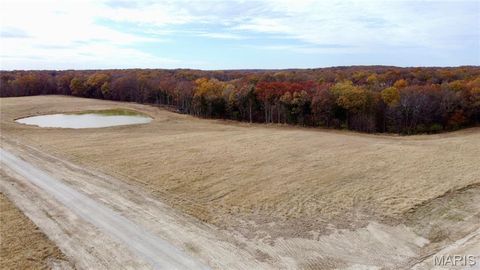 Photo of 10 Polston Ln, Marthasville, MO 63357 (MLS # 25077488)