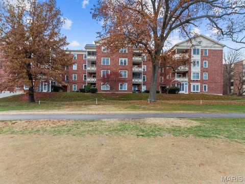 Photo of 526 Sarah Lane #36, Creve Coeur, MO 63141 (MLS # 25077956)