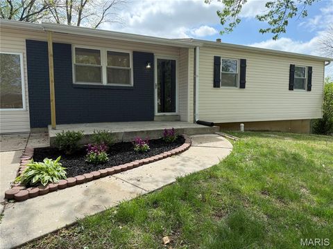 Photo of 186 Green Acres Drive, Old Monroe, MO 63369 (MLS # 26022572)