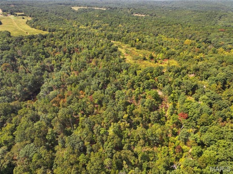 Tiny photo for 11353 Aspen Road RD, Richwoods, MO 63071 (MLS # 26058345)