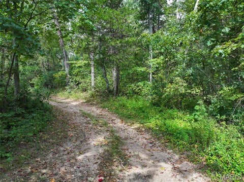 Tiny photo for 11353 Aspen Road RD, Richwoods, MO 63071 (MLS # 26058345)