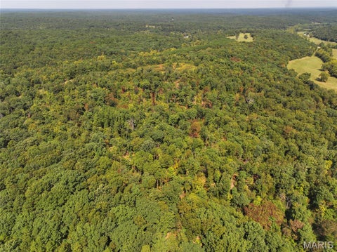 Tiny photo for 11353 Aspen Road RD, Richwoods, MO 63071 (MLS # 26058345)