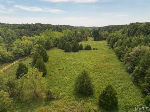Tiny photo for 11353 Aspen Road RD, Richwoods, MO 63071 (MLS # 26058345)