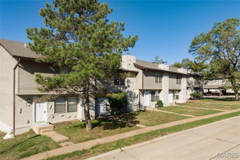 233 Northport Hills Drive Florissant MO 63033