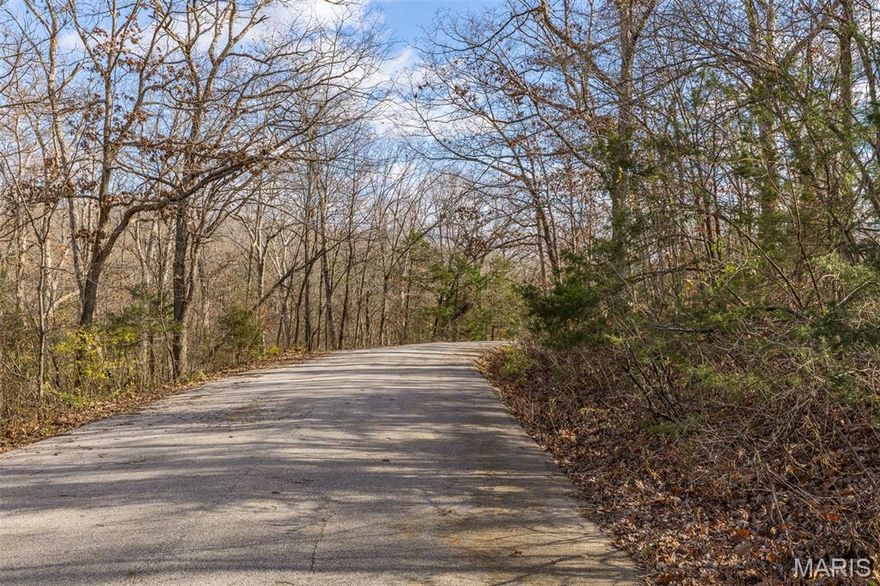 Nice level lot to build your dream home. Raintree has approx. 750 homes on it's 825 acres. Just 5 minutes North of Hillsboro, MO on State Rd B & only 30 minutes from greater St. Louis. You'll enjoy gated access to 4 pristine lakes; the largest of which features power boating, water skiing, fishing, a long white sand beach, large pavilion, and boat ramp. UTILITIES and WIFI available. Raintree Golf Course has an 18 hole course that intertwines most of the subdivision; membership is available. The Homeowners Association offers fun activities year round. Be on vacation every day; plenty of space to play and opportunities to be able to relax and have some family fun. Don't miss the opportunity for a very special home-site.