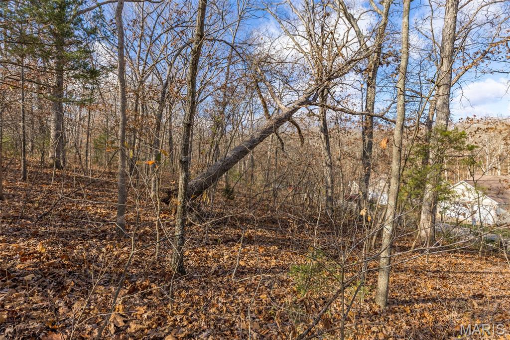 6110 Shenandoah Drive