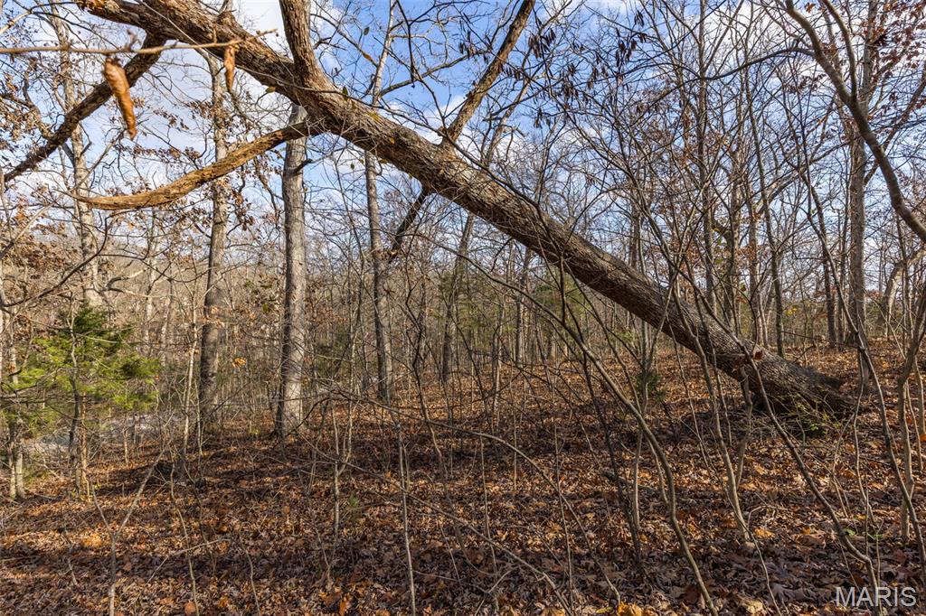 6110 Shenandoah Drive