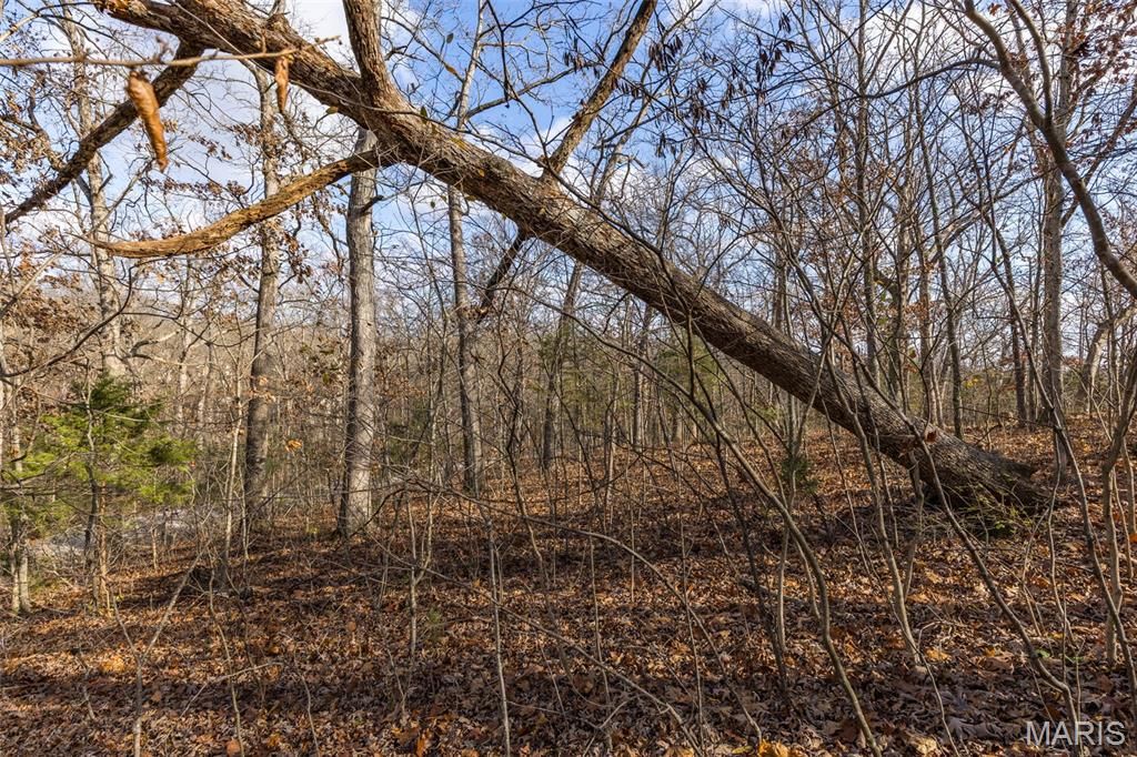 Photo of 6110 Shenandoah Drive, Hillsboro, MO 63050 (MLS # 25080089)